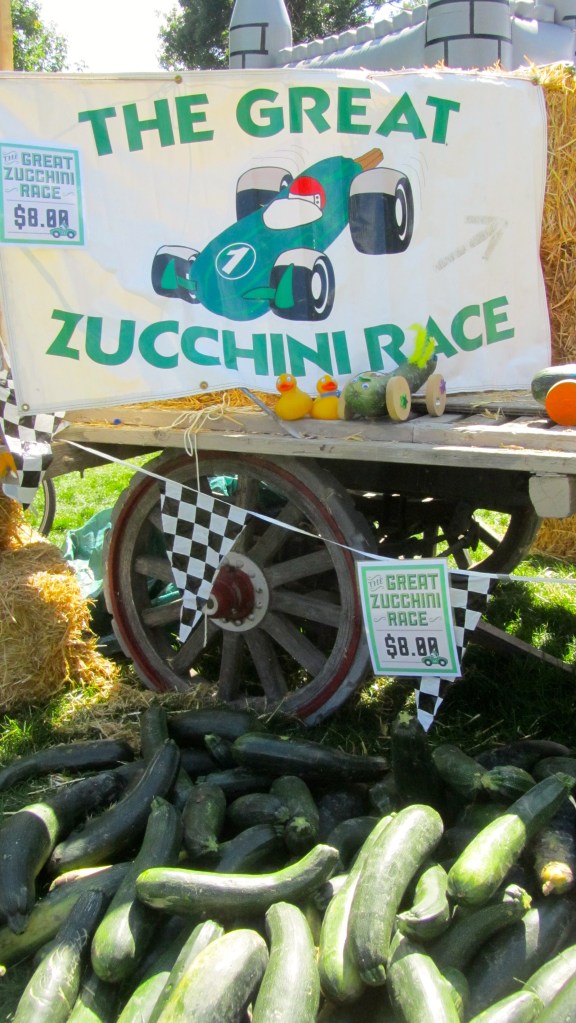Wow!  The Great Zucchini Race