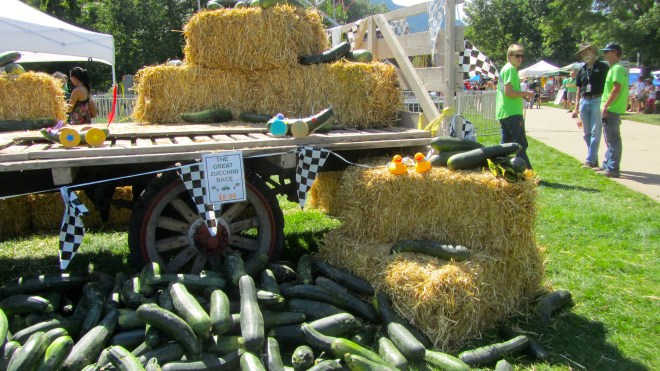 So many huge zucchinis