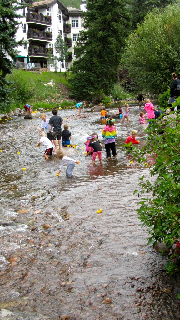 Ducks racing on Gore Creek