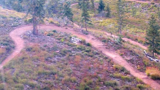 Bike paths seen from gondola
