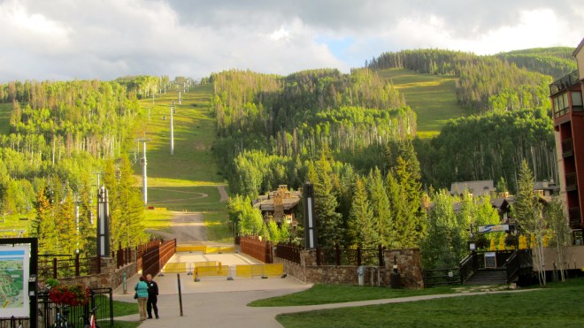 Ski run in the summer