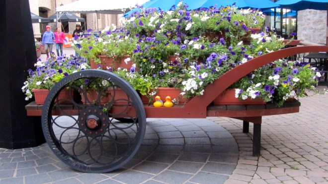 Flower carts are so cheerful