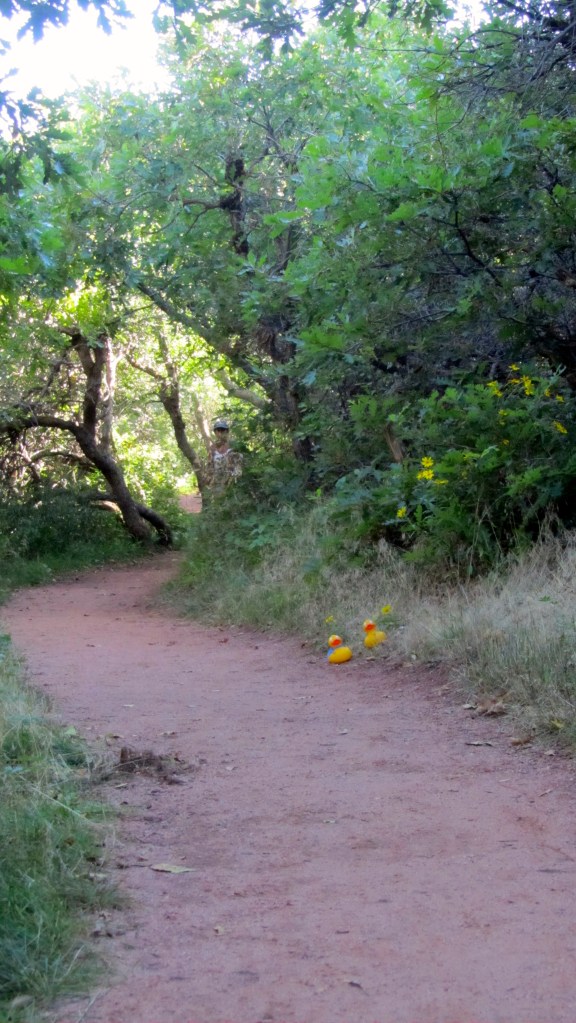 Peaceful with yellow flowers