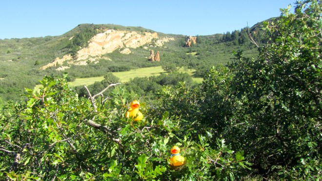 Lighter rock formations add contrast to the park
