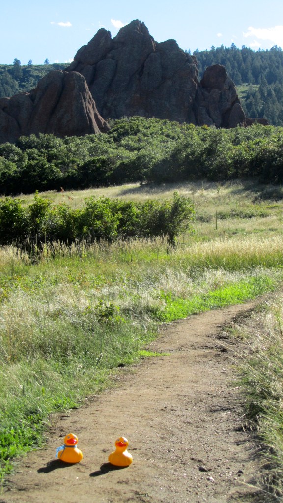 We will be looking for you