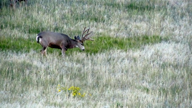 We were being watched