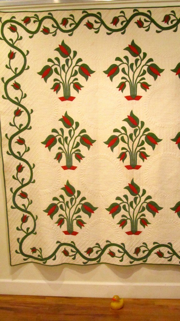 Nineteenth Century Tulip