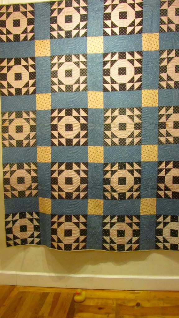 Crown of Thorns 1880