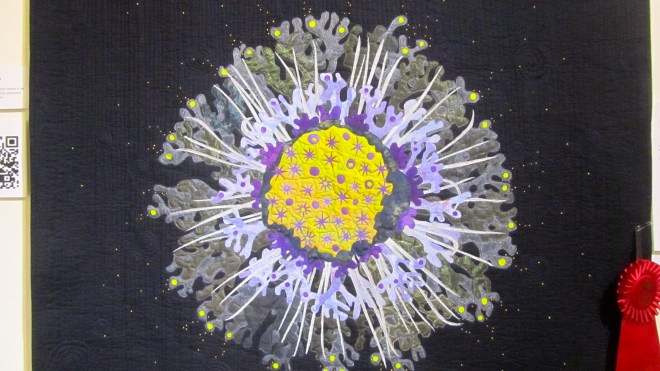 Second place by Charlotte Bird