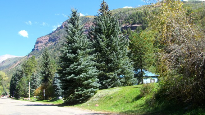 Isn't this a pretty town?