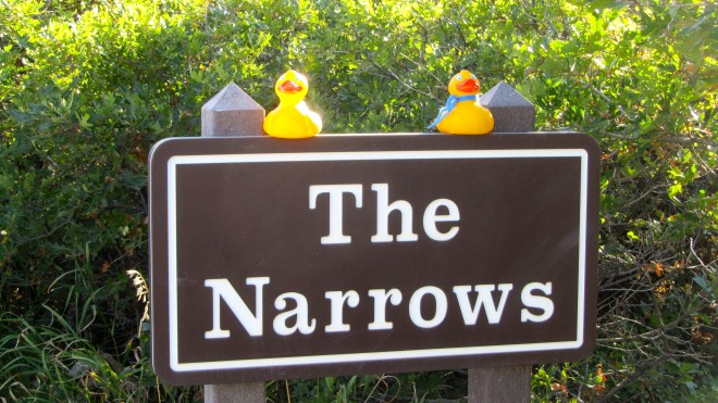 Ready to check it out