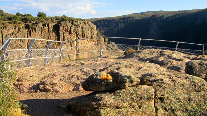 Still scary for ducks