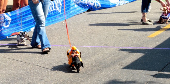 The winner of the costume contest