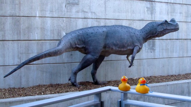 By the parking garage