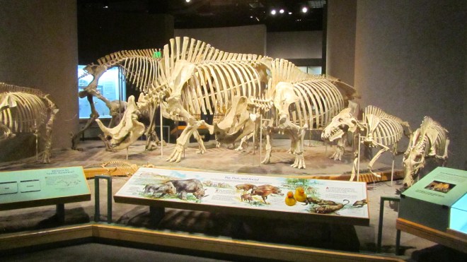 You will love all the dinosaurs.