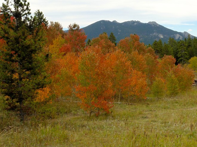 Colors of fall with mountains behind