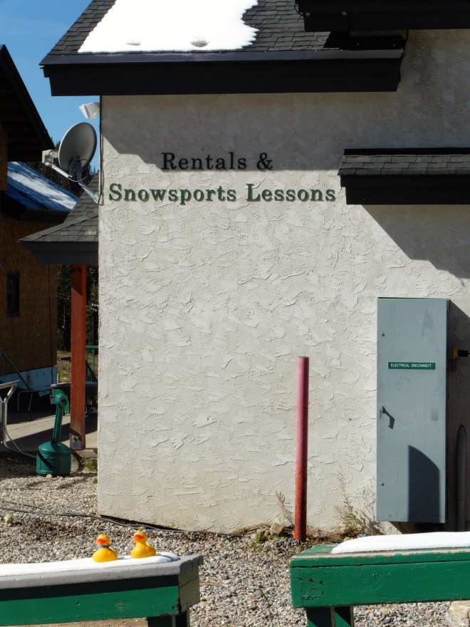 Everything the beginner needs