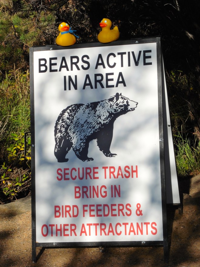 Must always be alert in mountains