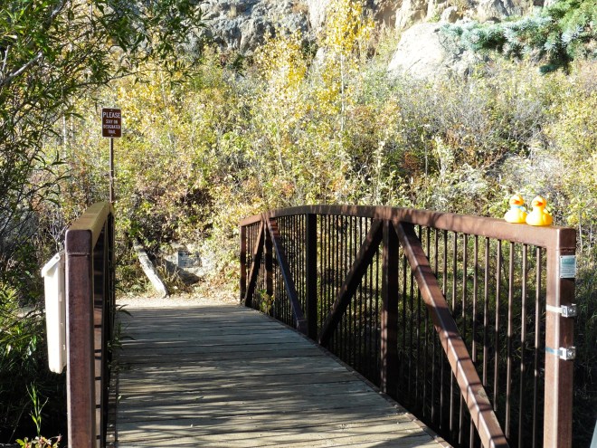Over the bridge and up the mountain trail