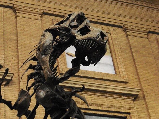 What a big, powerful head