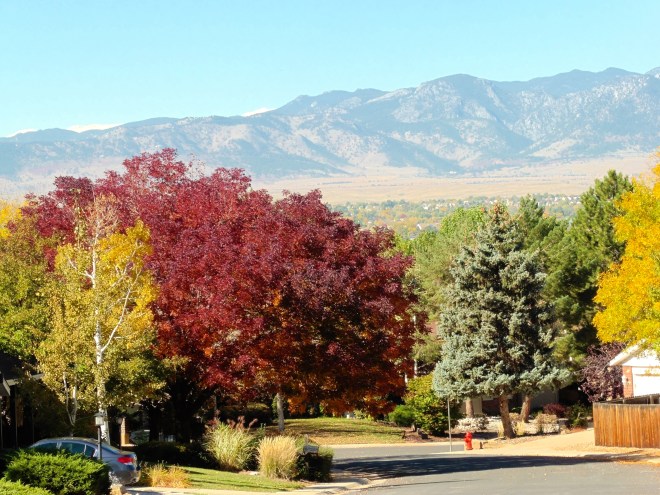 Fall colors with mountains behind