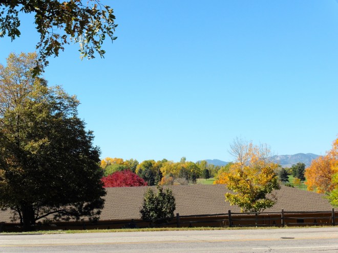 Leaves turning and blue sky