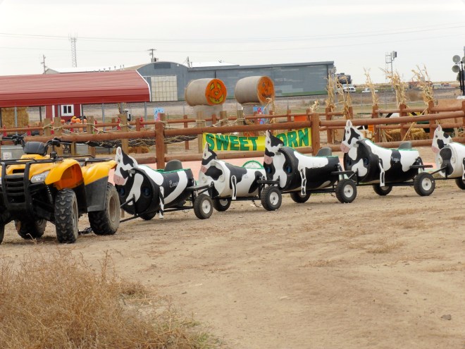 Small humans can have so much fun here