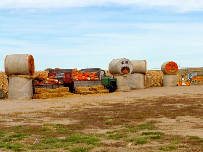 WOW   Hay and pumpkins