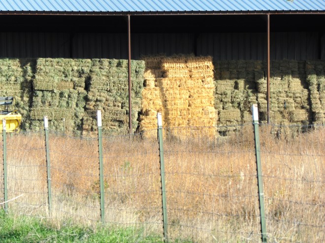 Stored under shelter