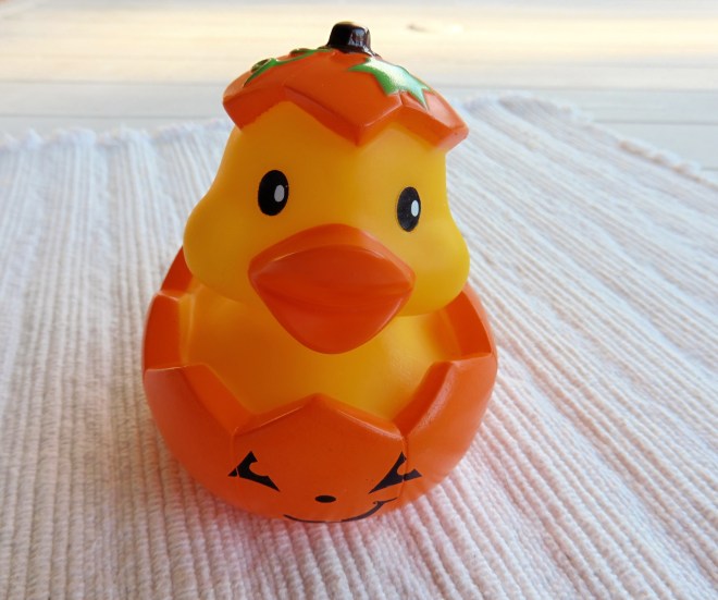 Pumpkin Duck joins the Duck family