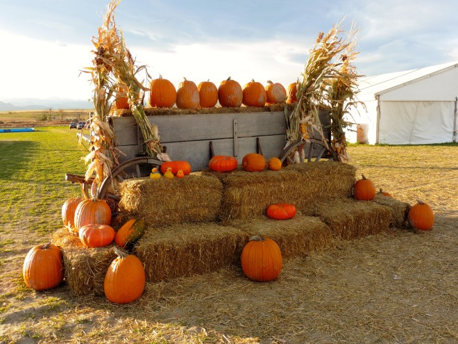 Looks like autumn here