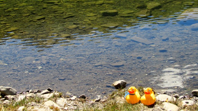 Such clear water in streams