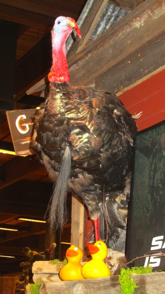 Another feathered friend