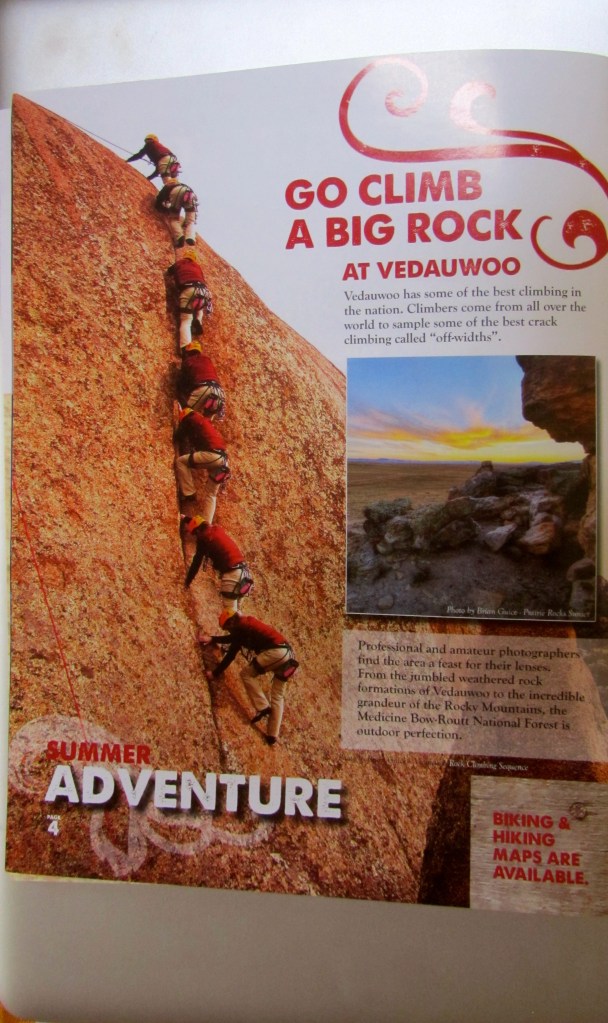 This looks like fun!