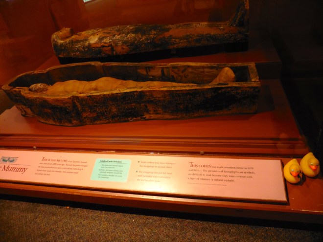 Poor woman's mummy and coffin.