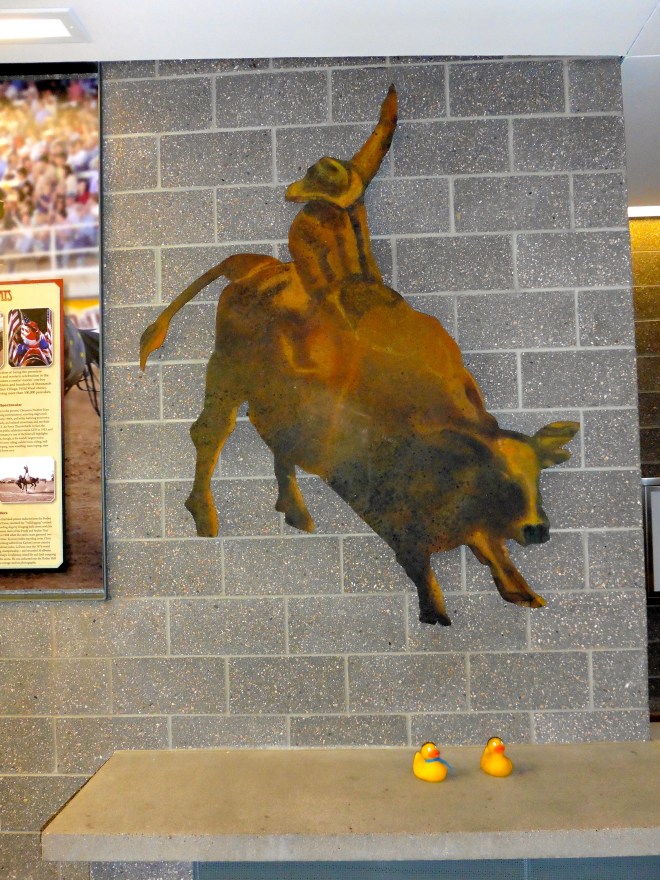 We like cowboys and rodeos