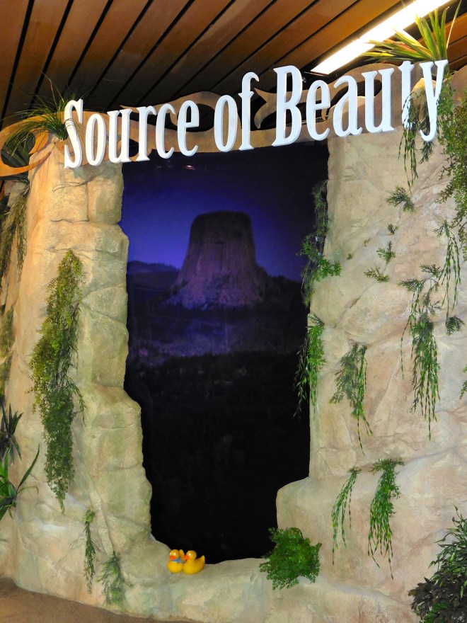 We liked Devil's Tower