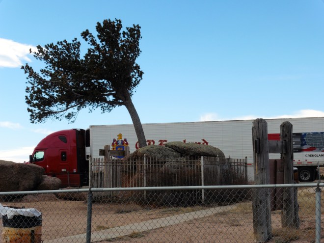 Winds over 65 mph. Trucks asked to exit highway. Wish of blowing over is very high