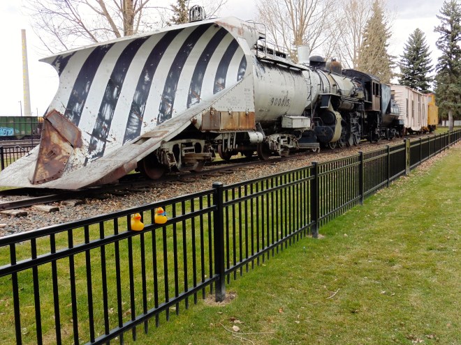 Winters here must have a lot of snow.