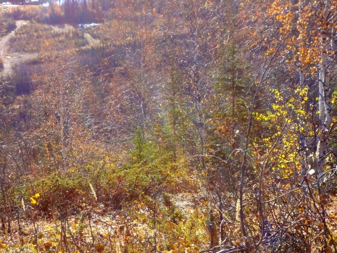 Careful Eider.   Don't get lost out there.