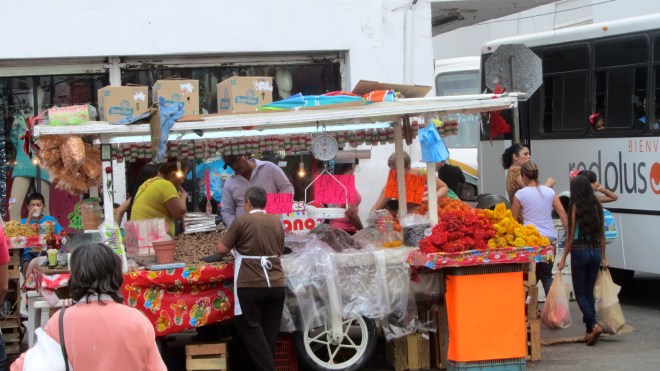 Colors are so bright