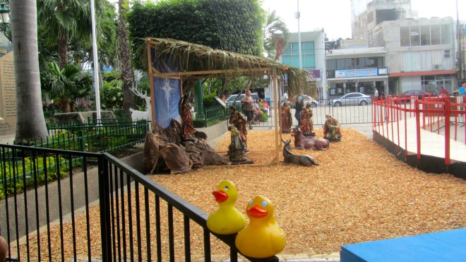 In Mazatlan's main plaza