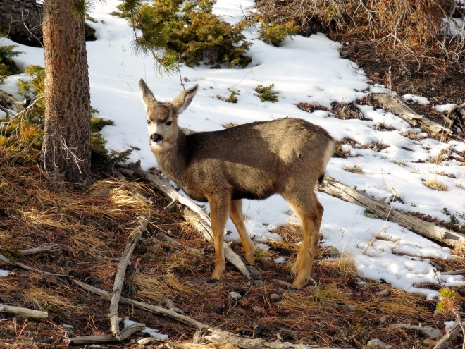 Isn't she beautiful?