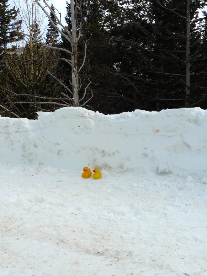 Humans, don't forget us!