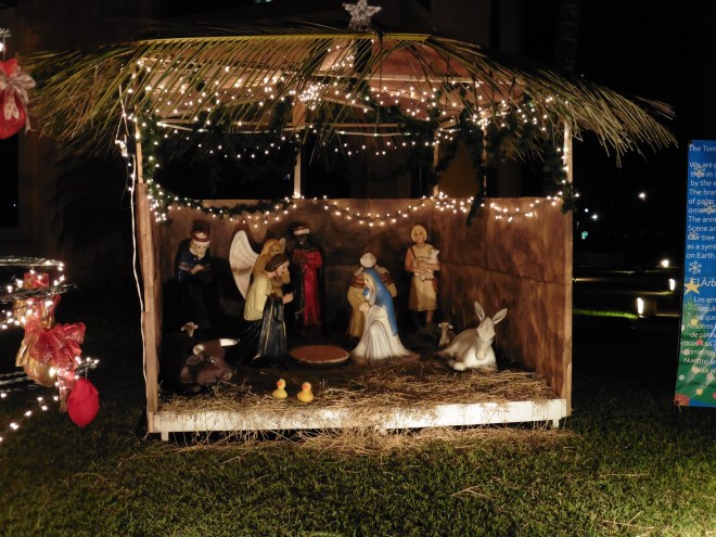 The lights create magic