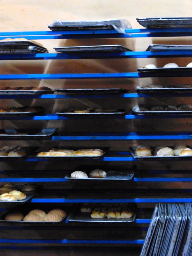 Fresh, warm and ready for us