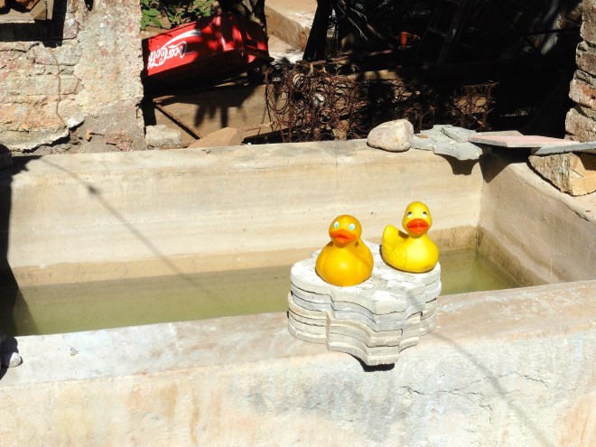 Zeb and Eider like these tiles