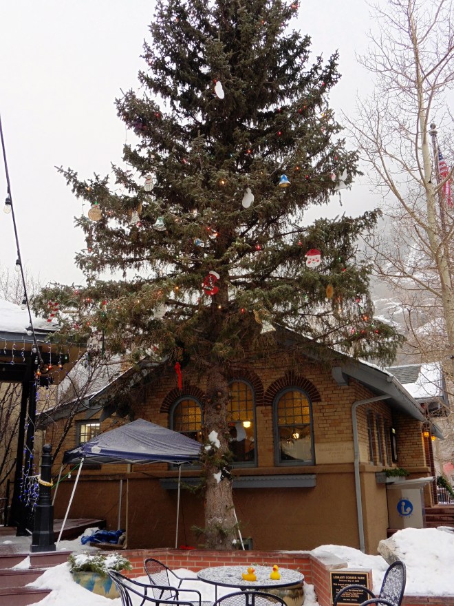 Didn't even want hot chocolate out here today.  But it is pretty.