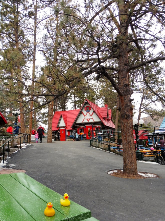 It was too cool for a picnic today