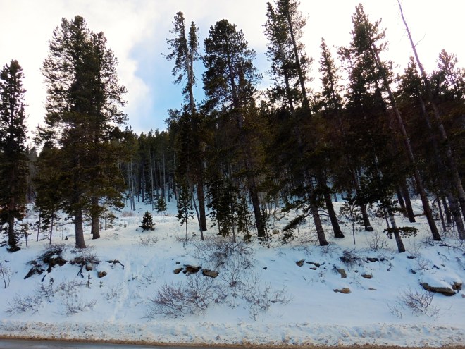 The sun is trying to clear the clouds